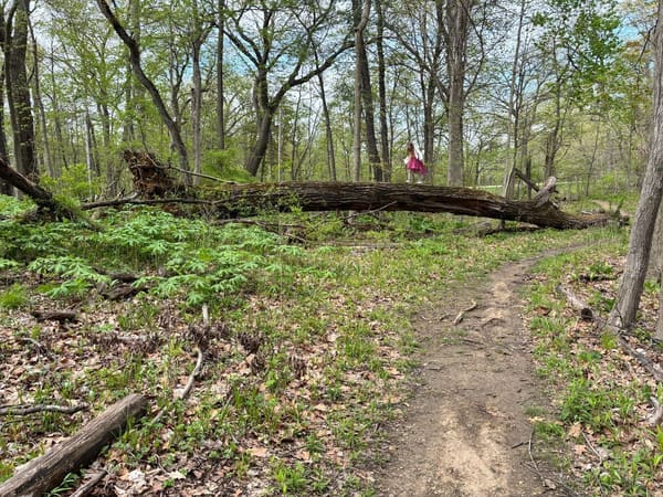 Anchor Homeschool Co-op families together on a Chicago-area field trip